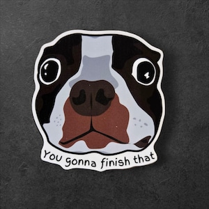 May include: A sticker depicting a Boston Terrier's face with large eyes. The dog has black, white, and brown markings. The text at the bottom says "You gonna finish that."