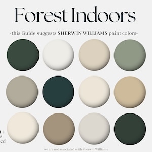 Calm Natural Sherwin Williams Paint Palette FOREST INDOORS  Whole House Interior coordinated Paint Color Scheme Modern Green Neutral Shades