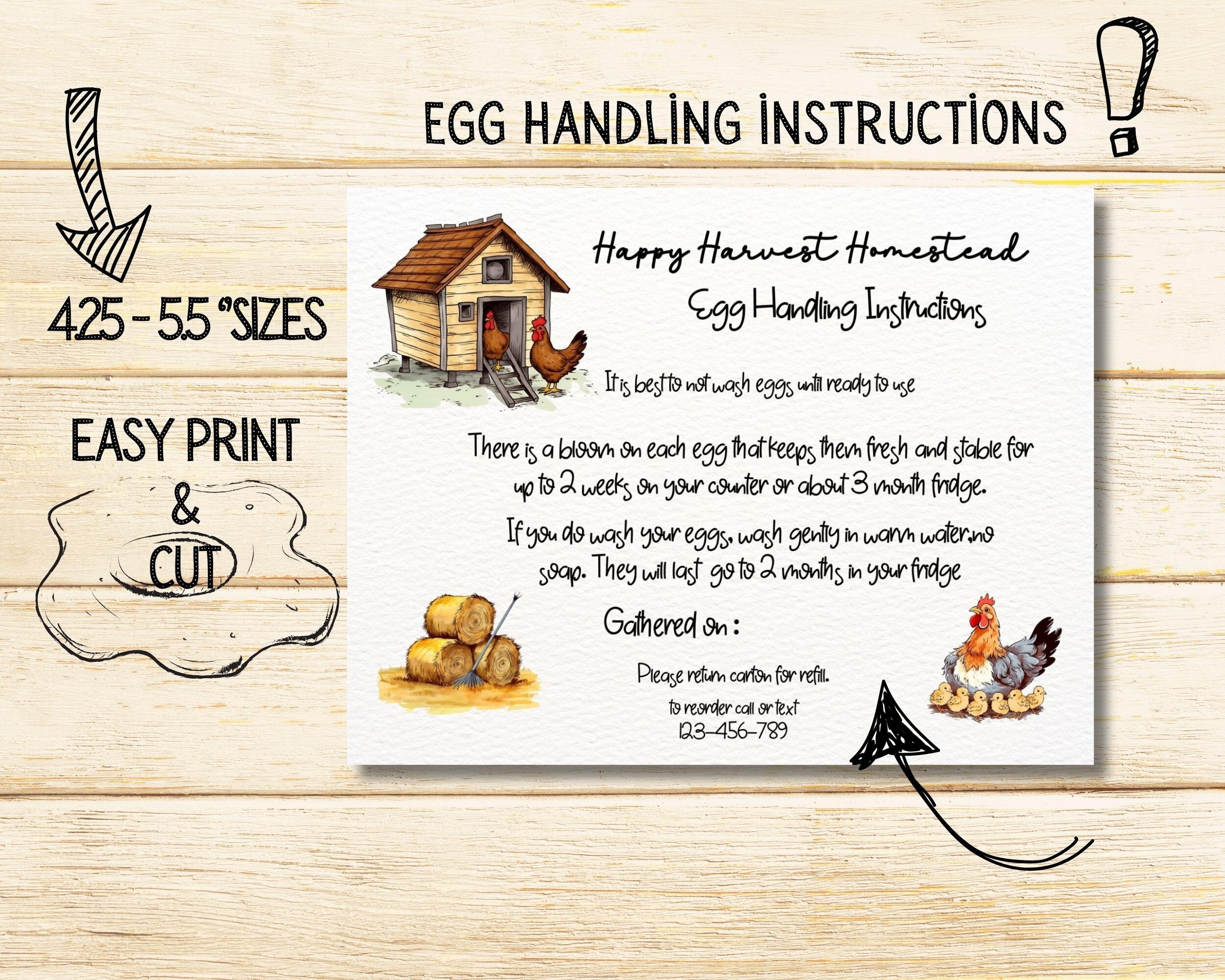 EGG HANDLING Instruction Card Template, Fresh Egg Care Label, Egg ...