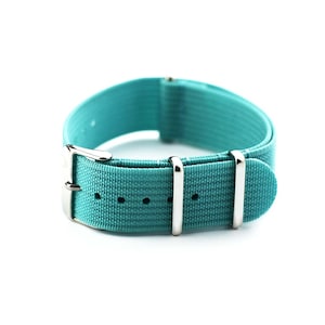 K&ouml;nnte beinhalten: Ein t&uuml;rkisfarbenes Nylon-Armband mit silberner Schnalle und Dornschlie&szlig;en.