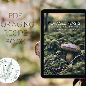 Foraged Feasts, Foraging Recipe Book | 50 Foraged Food Recipes | Foraging Guide | Wild Food | Wild Plants Mushroom Book | Sustainable Living