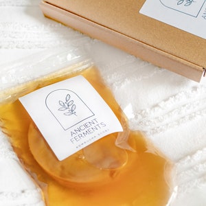 May include: A clear plastic bag filled with a golden liquid, labelled "Ancient Ferments Kombucha Scoby". The bag is sitting on a white surface with a brown cardboard box in the background.