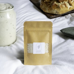 May include: A brown paper pouch with a clear window showing white sourdough starter inside. The pouch has a white label with the text "Ancient Ferments" and a small illustration of a plant.