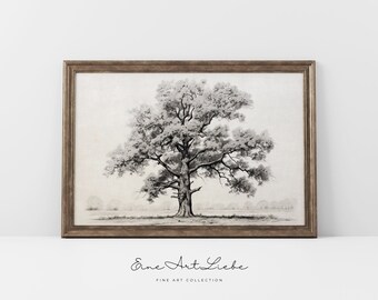 Old Oak Tree Print / Normandie Print / Printable Vintage Oak Tree Drawing / Printable Farmhouse Wall Art / Digital ART