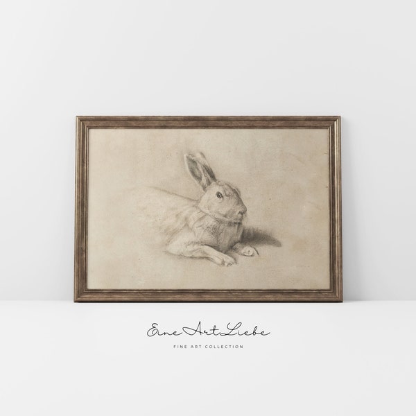 Printable Vintage Rabbit Drawing Vintage Rabbit Pencil Sketch Beige Animal Etching Vintage Farmhouse Easter Print Limited Edition EAL_317