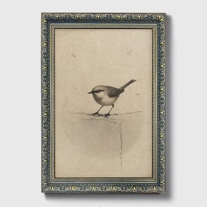 Ready to hang / Vintage Inspired Bird Etching Print on Canvas or Fine Art Paper with Wooden Frame Options / Wall Art Print EAL_286 Premium Bronze Frame with Museum Quality Matte Paper