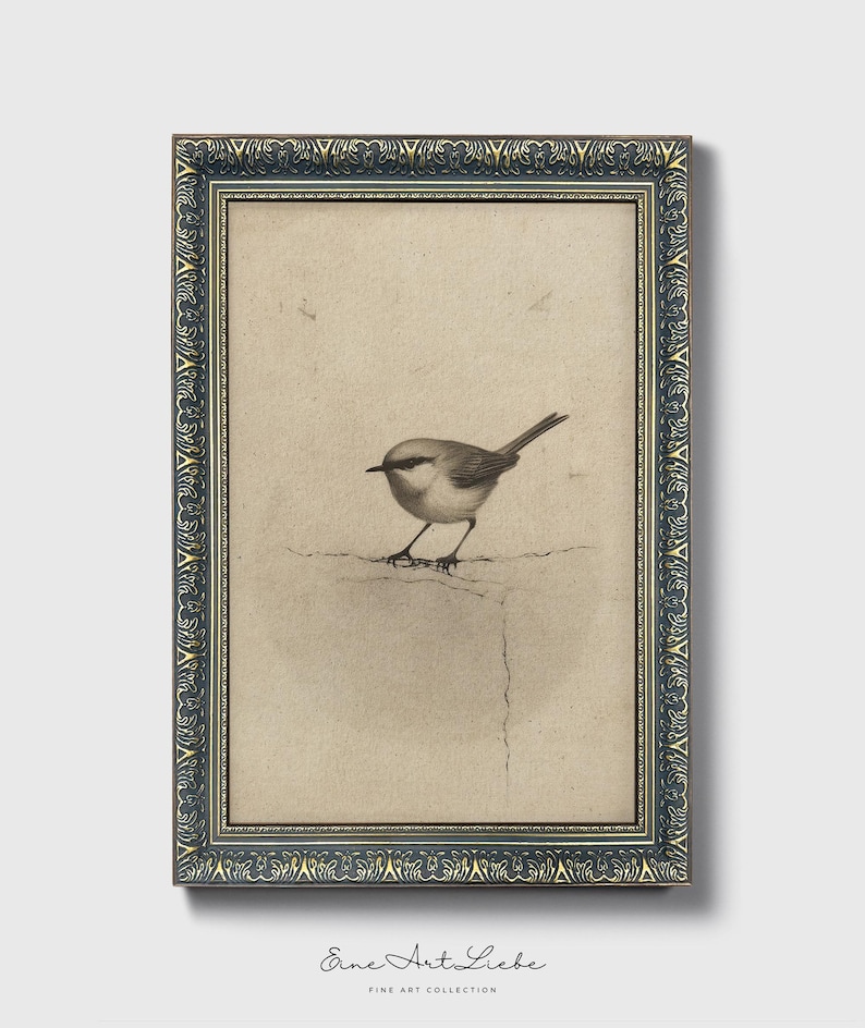 Ready to hang / Vintage Inspired Bird Etching Print on Canvas or Fine Art Paper with Wooden Frame Options / Wall Art Print EAL_286 Premium Bronze Frame with Museum Quality Matte Paper