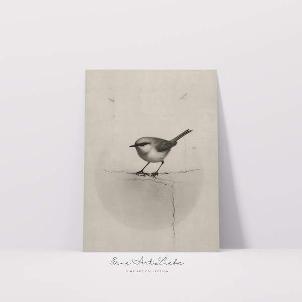 Printable Vintage Bird Drawing in Grey Animal Pencil Drawing Farmhouse Decor Digital Print French Country Small Bird Limited Edition