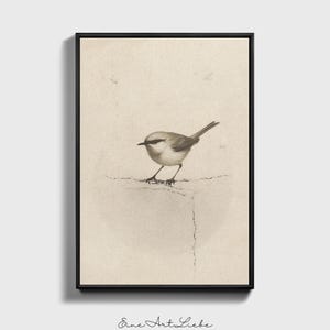 Ready to hang / Vintage Inspired Bird Etching Print on Canvas or Fine Art Paper with Wooden Frame Options / Wall Art Print EAL_286 Premium Black Floating Frame With Stretched Cotton Canvas