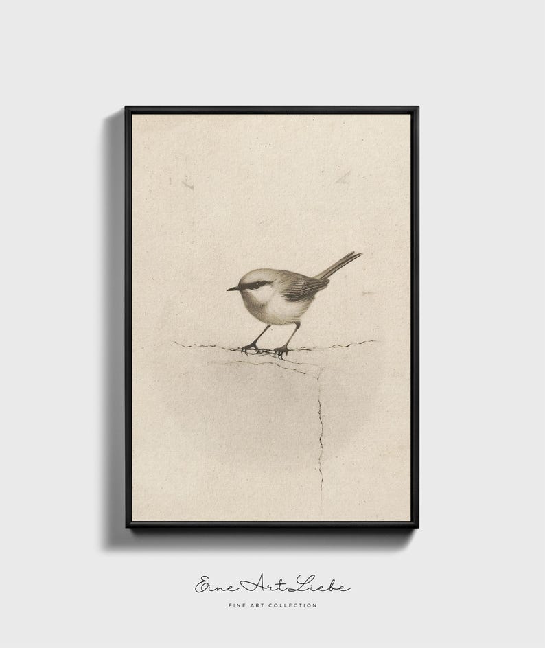 Ready to hang / Vintage Inspired Bird Etching Print on Canvas or Fine Art Paper with Wooden Frame Options / Wall Art Print EAL_286 Premium Black Floating Frame With Stretched Cotton Canvas