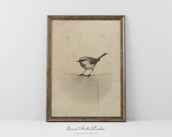 Vintage Bird Etching Printable Nursery Art Cute Little Bird in Beige Limited Edition 100 Copies available Digital EAL_286