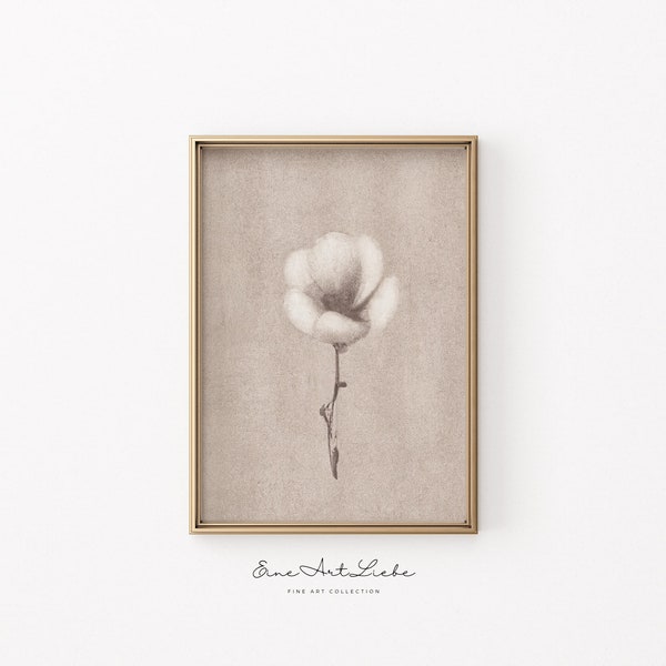 Minimalistische Blume / Kunstdruck / Botanische Wandkunst / Wohn - Kinderzimmer Dekor / Sommer / Vintage / Sofort Download