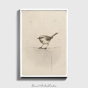 Ready to hang / Vintage Inspired Bird Etching Print on Canvas or Fine Art Paper with Wooden Frame Options / Wall Art Print EAL_286 Premium White Floating Frame With Stretched Cotton Canvas