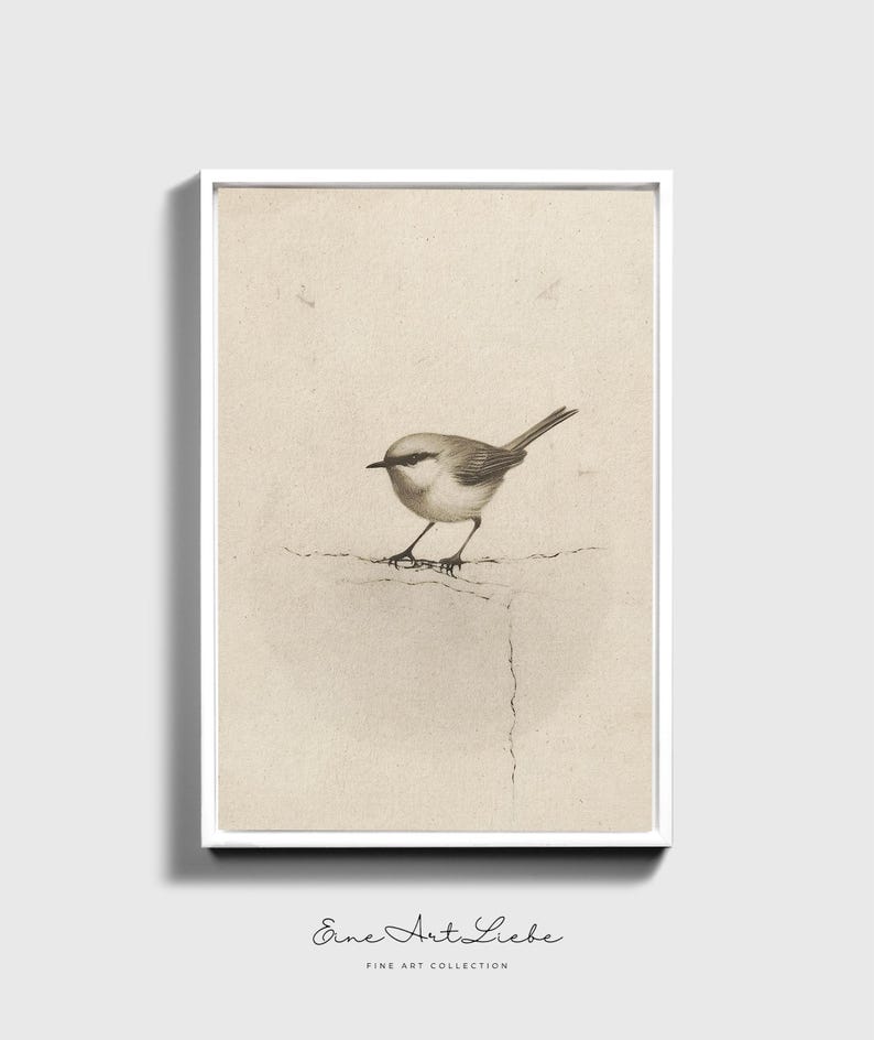 Ready to hang / Vintage Inspired Bird Etching Print on Canvas or Fine Art Paper with Wooden Frame Options / Wall Art Print EAL_286 Premium White Floating Frame With Stretched Cotton Canvas