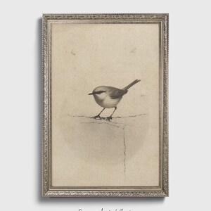 Ready to hang / Vintage Inspired Bird Etching Print on Canvas or Fine Art Paper with Wooden Frame Options / Wall Art Print EAL_286 Premium Silver Vintage Frame with Museum Quality Matte Paper