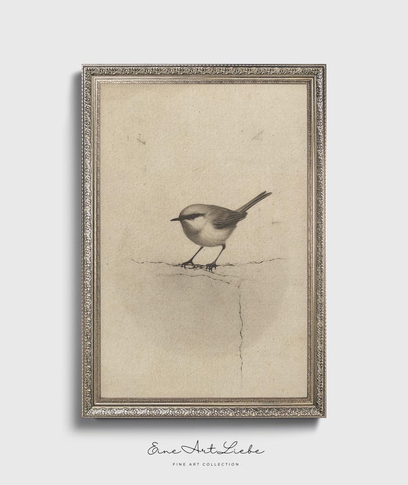 Ready to hang / Vintage Inspired Bird Etching Print on Canvas or Fine Art Paper with Wooden Frame Options / Wall Art Print EAL_286 Premium Silver Vintage Frame with Museum Quality Matte Paper