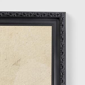 Ready to hang / Vintage Inspired Bird Etching Print on Canvas or Fine Art Paper with Wooden Frame Options / Wall Art Print EAL_286 image 14