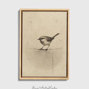 Ready to hang / Vintage Inspired Bird Etching Print on Canvas or Fine Art Paper with Wooden Frame Options / Wall Art Print EAL_286 Premium Wood Floating Frame With Stretched Cotton Canvas