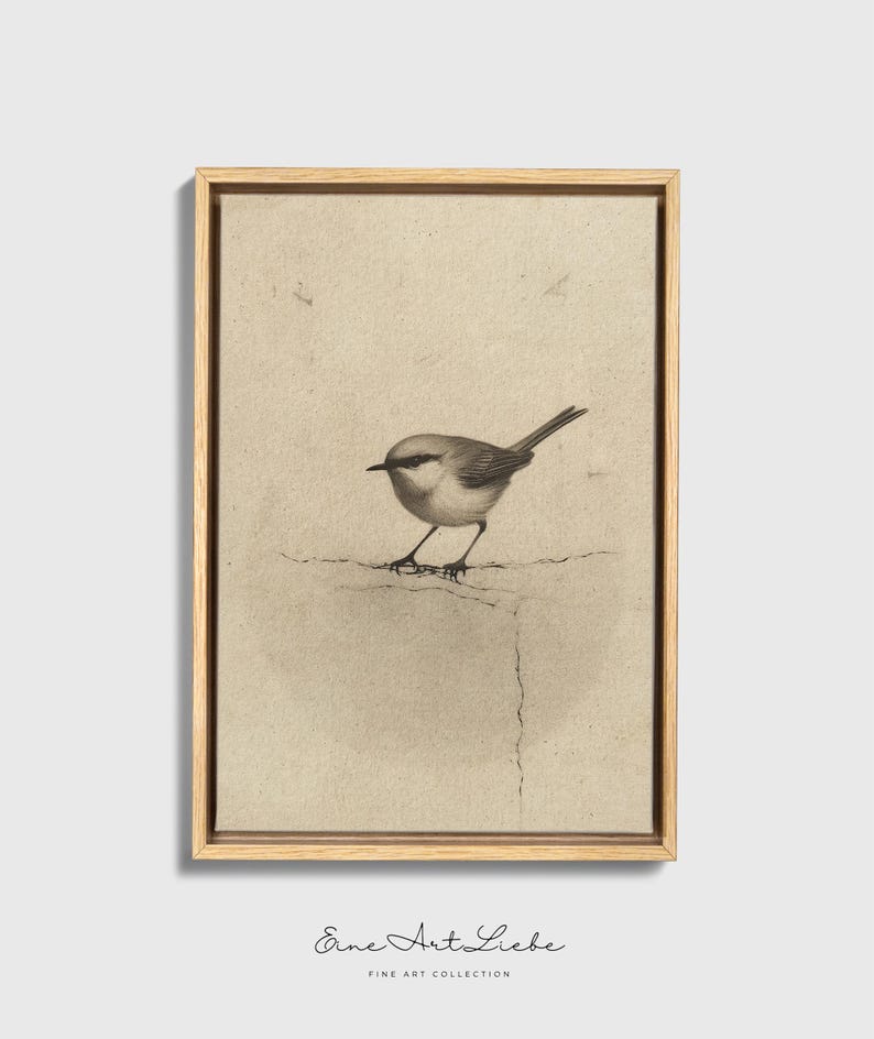 Ready to hang / Vintage Inspired Bird Etching Print on Canvas or Fine Art Paper with Wooden Frame Options / Wall Art Print EAL_286 Premium Wood Floating Frame With Stretched Cotton Canvas