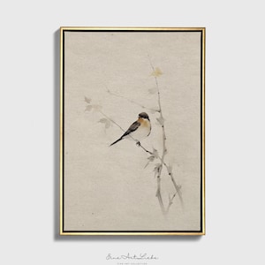 Vintage Bird Etching Cottage Wall Art Print on fine art paper or canvas with wooden frame options EAL_286_F