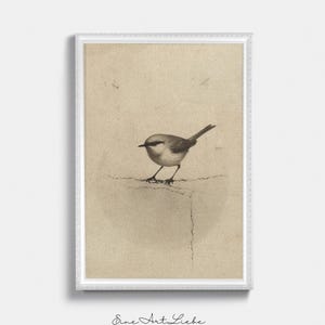 Ready to hang / Vintage Inspired Bird Etching Print on Canvas or Fine Art Paper with Wooden Frame Options / Wall Art Print EAL_286 Premium White Retro Frame with Museum Quality Matte Paper