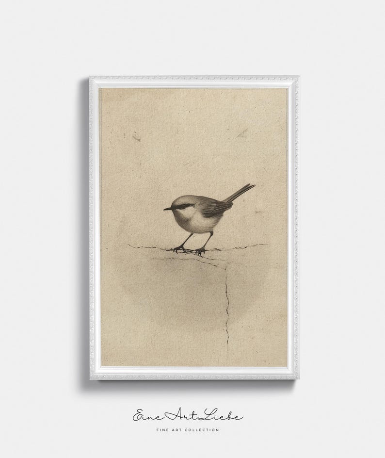Ready to hang / Vintage Inspired Bird Etching Print on Canvas or Fine Art Paper with Wooden Frame Options / Wall Art Print EAL_286 Premium White Retro Frame with Museum Quality Matte Paper