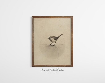 Vintage Bird Etching: Rustic Nursery Art Print (Digital Download) EAL_286