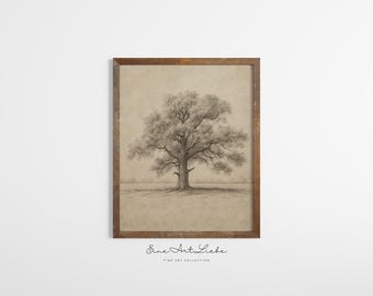 Vintage Oak Tree Drawing: Normandie Farmhouse Print (Digital Art)