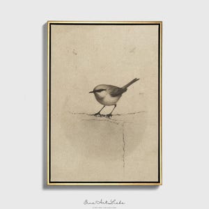 Stampa artistica da parete con incisione di uccelli d'epoca su carta fine art o tela con opzioni di cornice in legno EAL_286_F