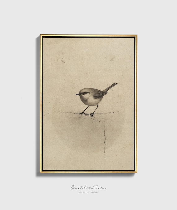 Ready to hang / Vintage Inspired Bird Etching Print on Canvas or Fine Art Paper with Wooden Frame Options / Wall Art Print EAL_286