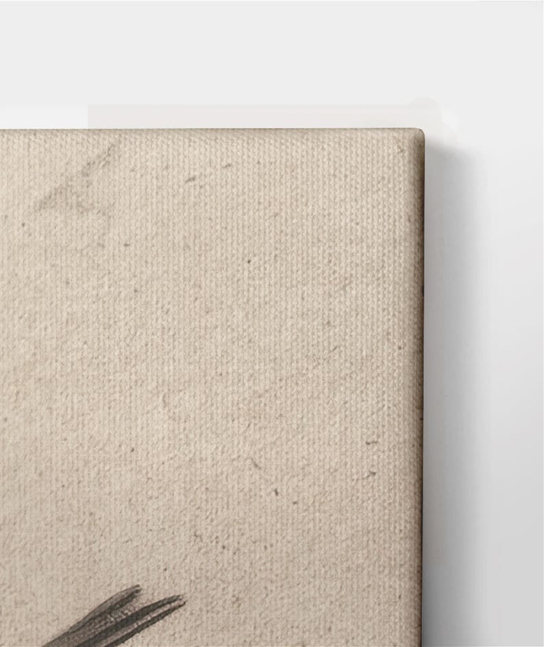 May include: A close-up of a canvas texture with a subtle off-white color. The canvas has a slightly rough texture and is perfect for painting or displaying artwork.