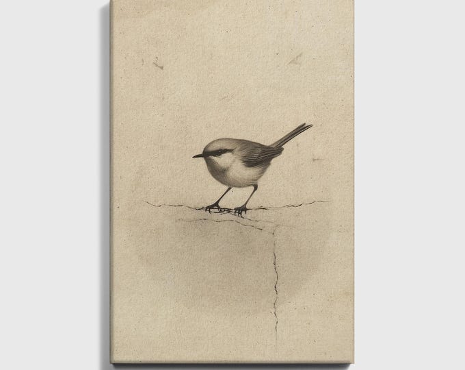 Ready to hang / Vintage Inspired Bird Etching Print on Canvas or Fine Art Paper with Wooden Frame Options / Wall Art Print EAL_286
