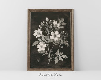 Printable Birth Flower Art Cherry Blossom Engraving March Birth Flower Art Print Botanical Black and White Flower Printable DIGITAL EAL_412