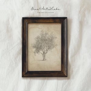 Printable Vintage Olive Tree Pencil Drawing Simple Yet Detailed Drawing Mediterranean Tree Printable Summer Wall Art Print EAL_447
