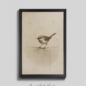 Ready to hang / Vintage Inspired Bird Etching Print on Canvas or Fine Art Paper with Wooden Frame Options / Wall Art Print EAL_286 Premium Black Retro Frame with Museum Quality Matte Paper