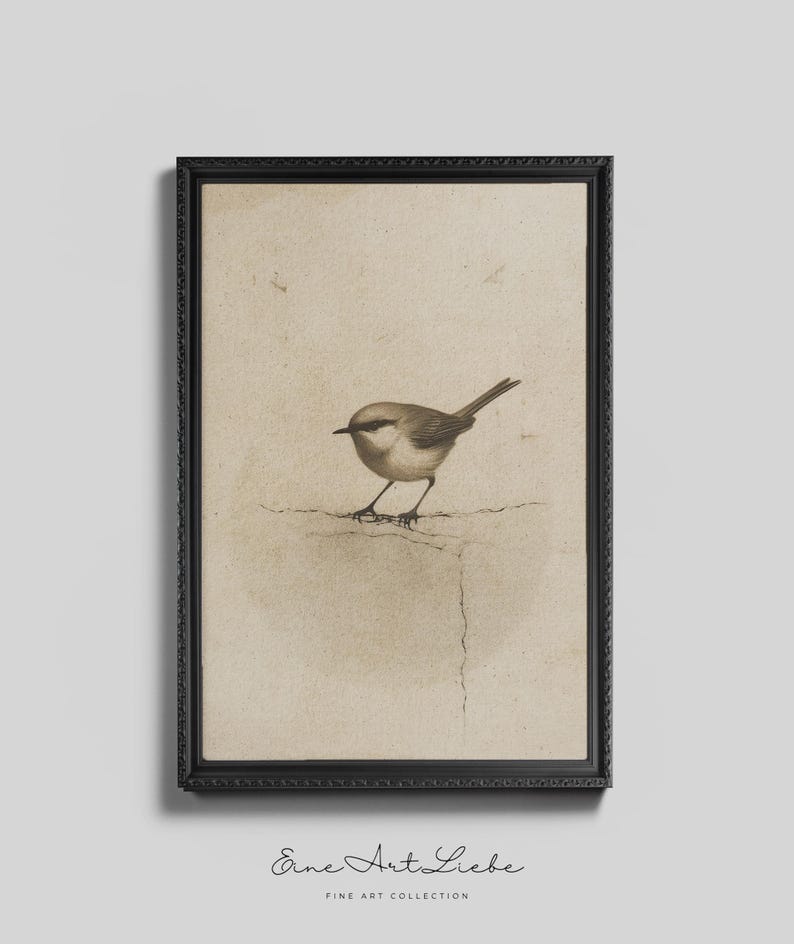 Ready to hang / Vintage Inspired Bird Etching Print on Canvas or Fine Art Paper with Wooden Frame Options / Wall Art Print EAL_286 Premium Black Retro Frame with Museum Quality Matte Paper