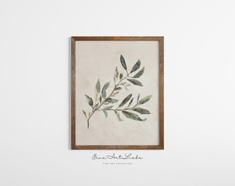 Olive Branch Botanical Print French Country Farmhouse Printable (Digital Download) EAL_446