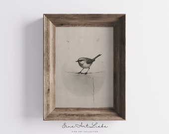 Printable Vintage Bird Drawing in Grey Animal Pencil Drawing Farmhouse Decor Digital Print French Country Small Bird Limited Edition