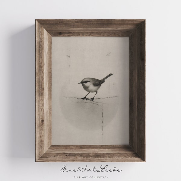 Printable Vintage Bird Drawing in Grey Animal Pencil Drawing Farmhouse Decor Digital Print French Country Small Bird Limited Edition