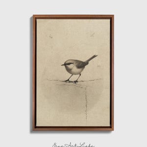 Ready to hang / Vintage Inspired Bird Etching Print on Canvas or Fine Art Paper with Wooden Frame Options / Wall Art Print EAL_286 Premium Dark Wood Floating Frame With Stretched Cotton Canvas