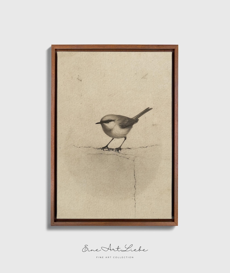Ready to hang / Vintage Inspired Bird Etching Print on Canvas or Fine Art Paper with Wooden Frame Options / Wall Art Print EAL_286 Premium Dark Wood Floating Frame With Stretched Cotton Canvas