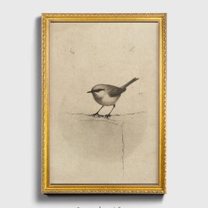 Ready to hang / Vintage Inspired Bird Etching Print on Canvas or Fine Art Paper with Wooden Frame Options / Wall Art Print EAL_286 Premium Retro Gold Frame with Museum Quality Matte Paper