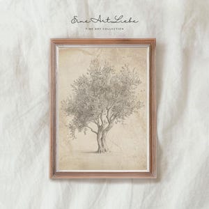 Printable Vintage Olive Tree Pencil Drawing Mediterranean Summer Art Pencil Sketch Etching Vintage Tree Print (Printable)