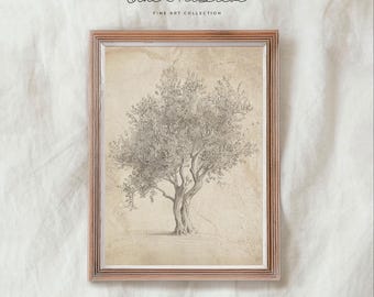 Vintage Olive Tree Pencil Drawing Printable, Mediterranean Tree Sketch, Neutral Etching Wall Art, Summer Decor, Digital Download