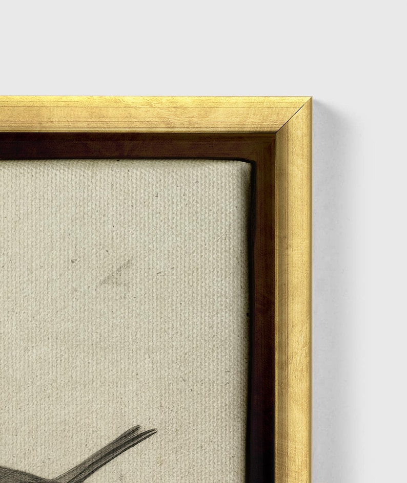 May include: A framed print of a bird with a gold frame. The print is on a canvas with a textured surface.