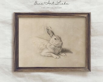 Vintage Rabbit Sketch Etching Print Pencil Drawing Farmhouse Bunny Art (Digital Download) EAL_317