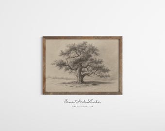 Printable Vintage Oak Tree Art Print Pencil Sketch Etching Tree Print French Country (Digital Art) EAL_96