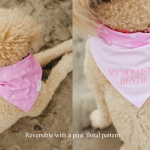 May include: A pink dog bandana with the text "MY MOM IS MY BESTIE" in a light pink font. The bandana is reversible with a pink floral pattern. The dog is light brown with curly fur.