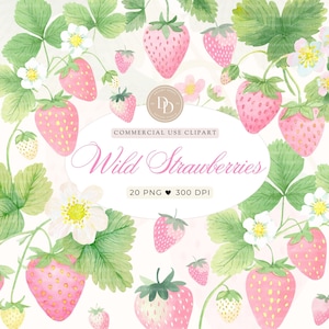 Wild Strawberry Clipart Pack, Pink Strawberry PNG, Cute Strawberry Clipart, Watercolor Strawberry Clipart, Card Making, Strawberry PNG