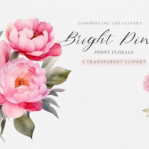 Pink Watercolor Floral Clipart Pack, Peony Clipart, Pink Flower Clipart, Clip Art For Commercial Use, Transparent PNGs, Wedding Clipart